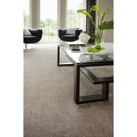 Flooring One - Amorous Carpet